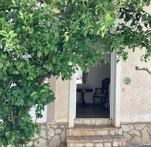 Lemon Tree